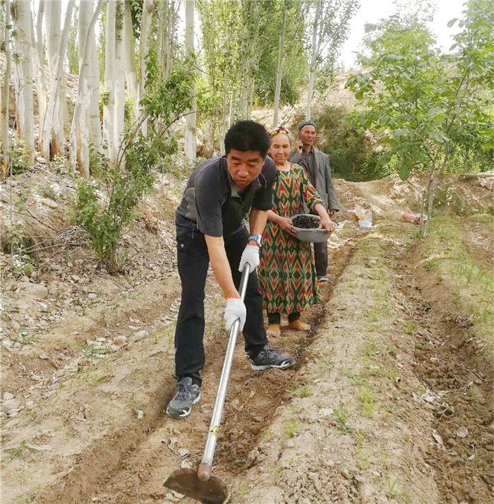 图14：帮助无劳动力的贫困户地里除草（同事提供）