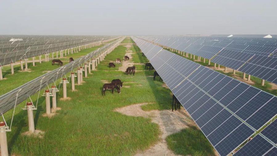 6吉林双辽农业光伏电站 6吉林双辽农业光伏电站