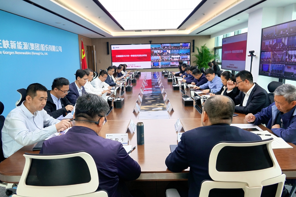 三峡能源召开2025年一季度经济活动分析会