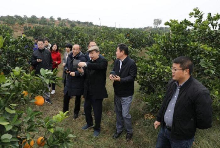 微信图片_20201211150253 微信图片_20201211150253