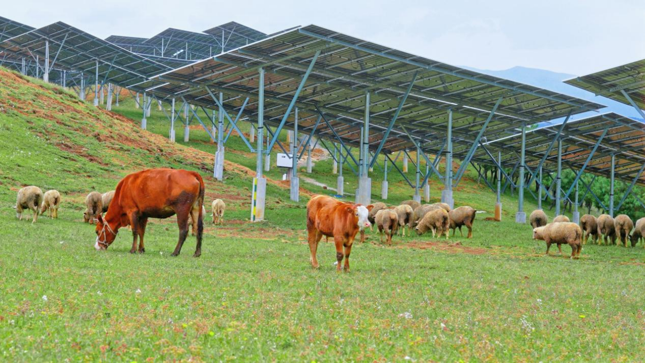 金沙江畔再添新“光”