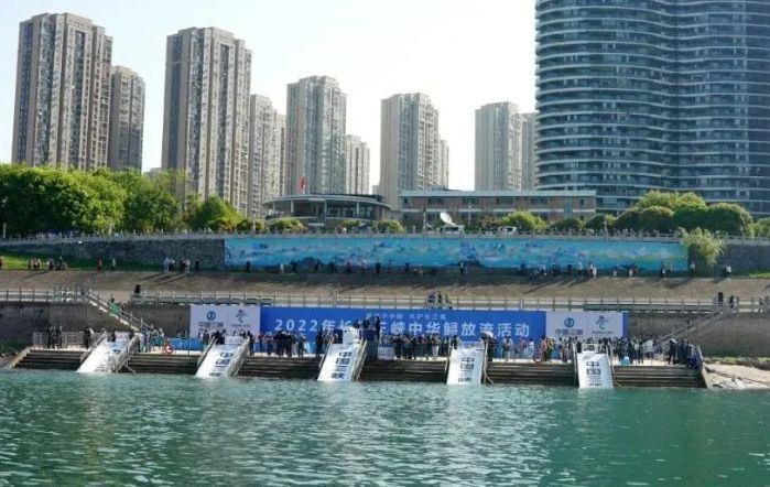 微信图片_20220409212224