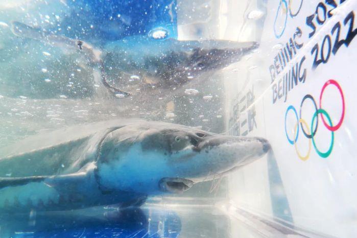 微信图片_20220409212237