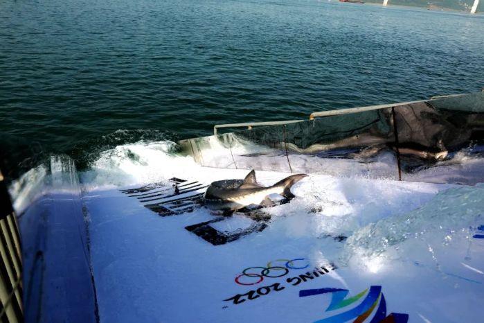 微信图片_20220409213806