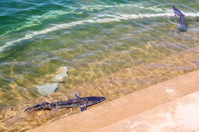 微信图片_20220409213812