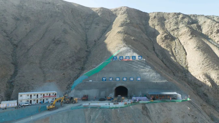 8甘肃黄羊 8甘肃黄羊